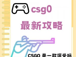 老阿姨 CSGO 比赛录像：专业电竞装备推荐