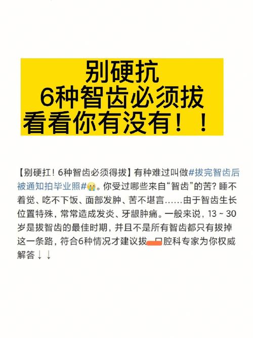 优质 8x8 拔擦拔擦拔擦免费播放，清晰流畅不卡顿