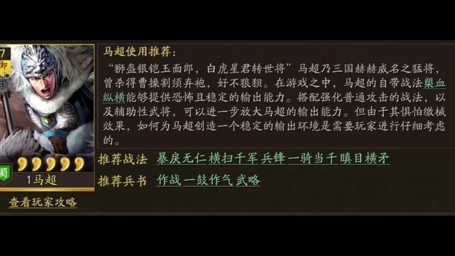 关于策马三国志基本战术技巧的全面解析与战略指导